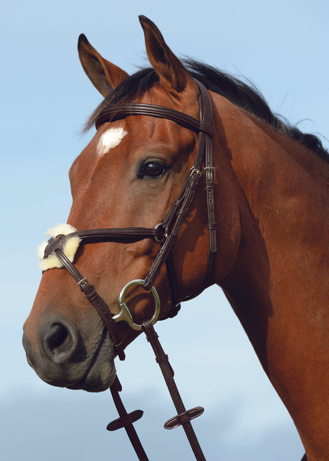 Collegiate® Syntovia+ Padded Raised Figure-8 Bridle
