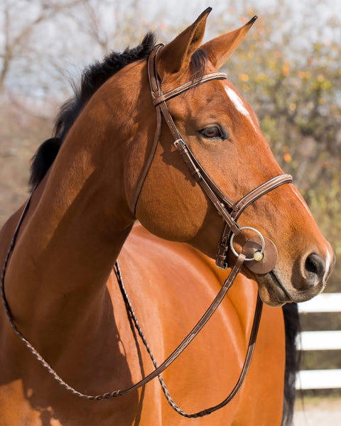 Horze Harrison Bridle