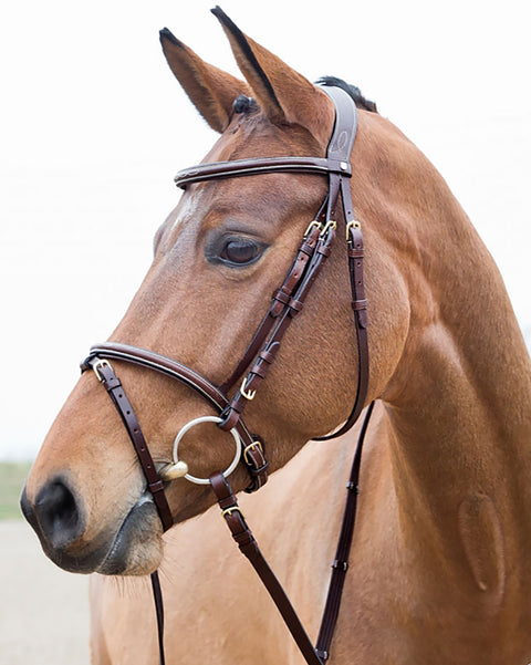 Horze Constance Padded Flash Snaffle Bridle