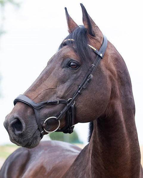 Horze Stewart Bridle