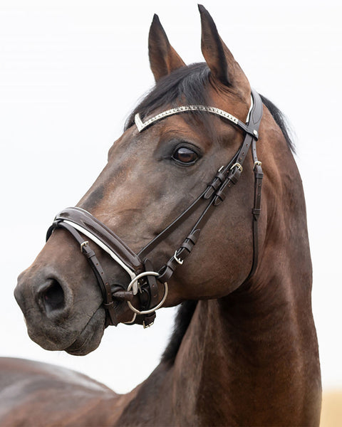 Horze Grayson Snaffle Bridle