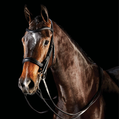 Collegiate® ComFiTec™ Weymouth Bridle