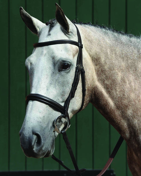 Collegiate® Essential Padded Raised Caveson Bridle