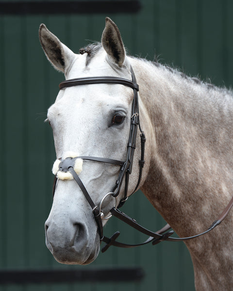 Collegiate® Essential Padded Raised Figure-8 Bridle