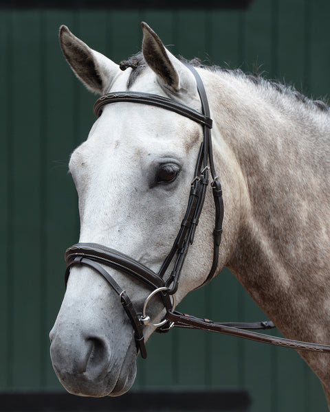 Collegiate® Essential Padded Raised Fancy-Stitched Flash Bridle