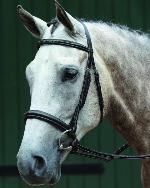 Collegiate® Essential Padded Raised Fancy-Stitched Caveson Bridle