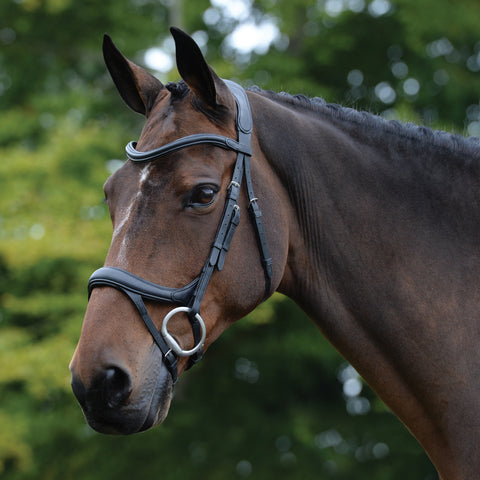 Collegiate® ComFiTec™ Vogue Anatomic Bridle