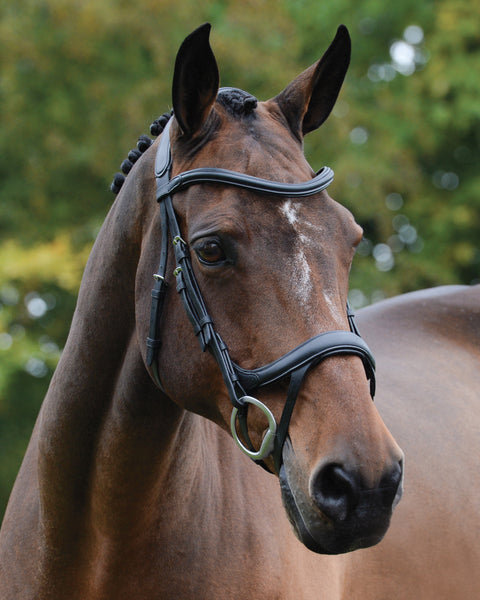 Collegiate® ComFiTec™ Vogue Anatomic Bridle