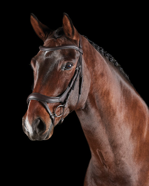 Collegiate® ComFiTec™ Vogue Anatomic Bridle
