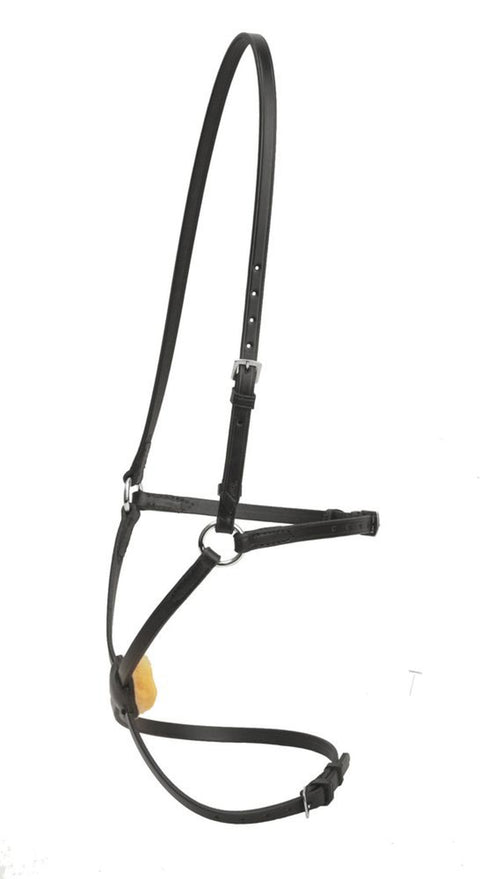 Tory Leather Company Figure-8 Noseband with Stainless Steel Rings
