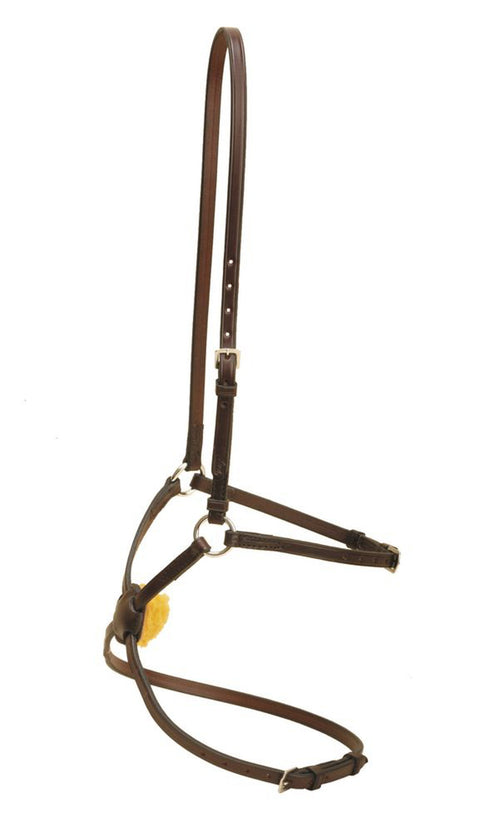 Tory Leather Company Figure-8 Noseband with Stainless Steel Rings