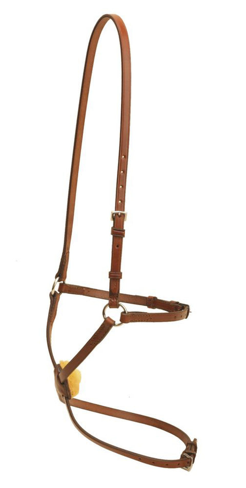 Tory Leather Company Figure-8 Noseband with Stainless Steel Rings