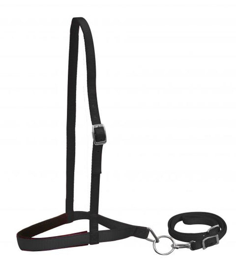 Showman® Premium Nylon Noseband & Tie Down