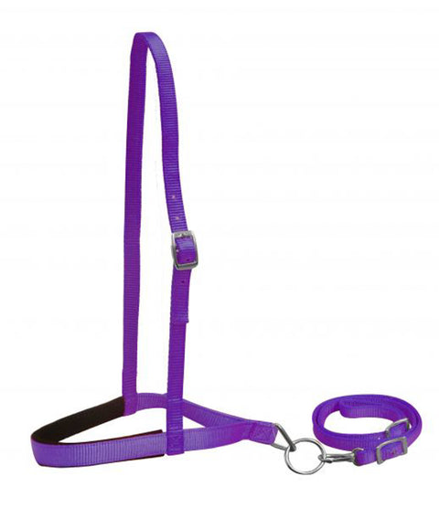 Showman® Premium Nylon Noseband & Tie Down