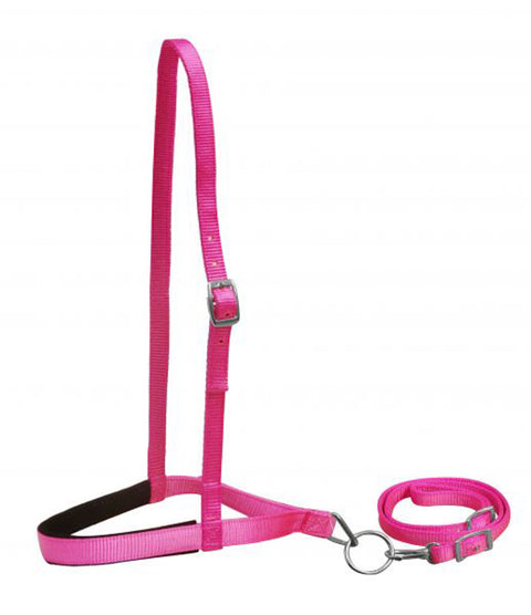Showman® Premium Nylon Noseband & Tie Down