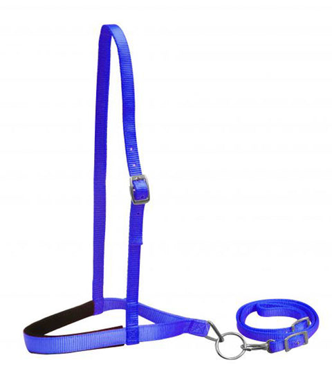 Showman® Premium Nylon Noseband & Tie Down