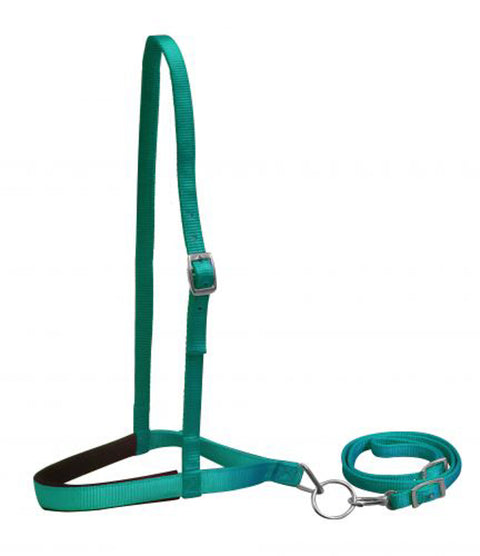 Showman® Premium Nylon Noseband & Tie Down