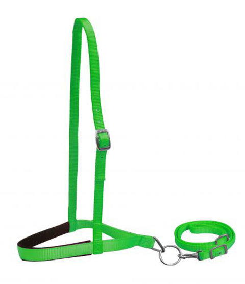 Showman® Premium Nylon Noseband & Tie Down