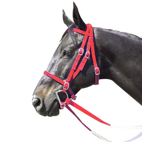 Nylon Race Horse Bridle with Rubber Reins & Curb Strap