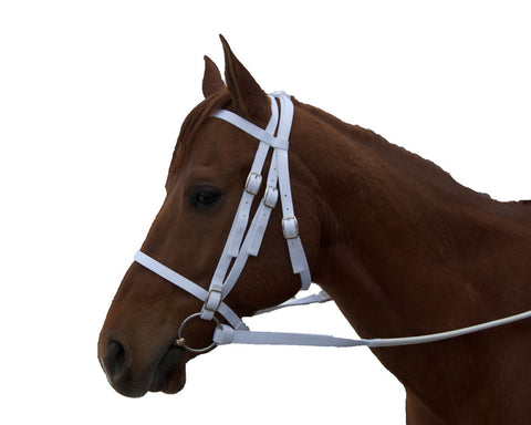 Nylon Race Horse Bridle with Rubber Reins & Curb Strap