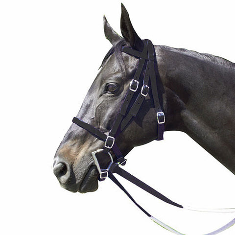 Nylon Race Horse Bridle with Rubber Reins & Curb Strap