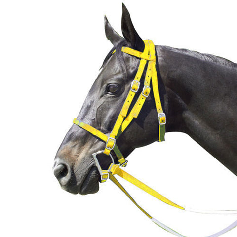 Nylon Race Horse Bridle with Rubber Reins & Curb Strap