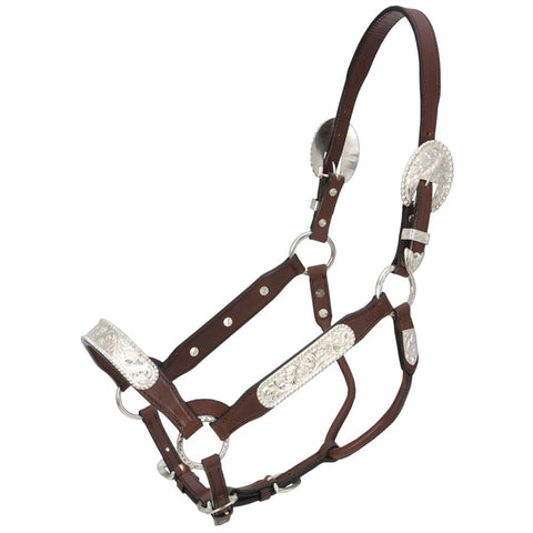 Royal King Berry Edge Congress Show Halter with Lead