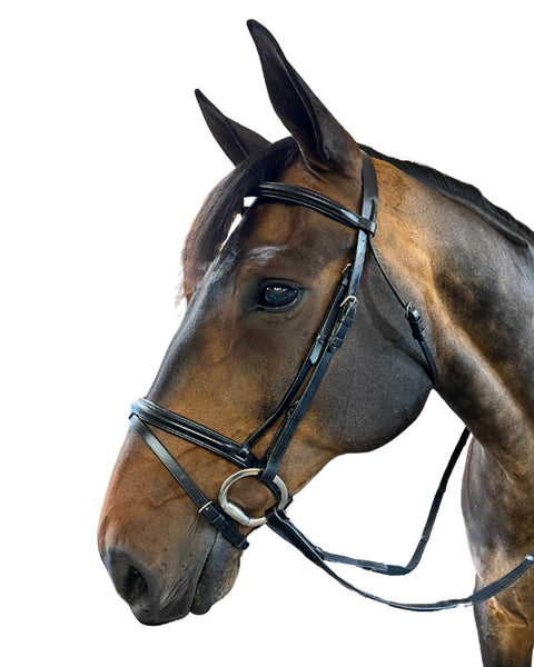 Exselle Pony Event Plain Raised Padded Bridle with Flash & Reins