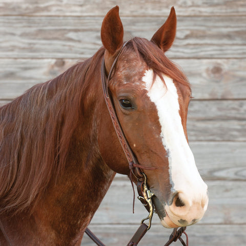 Martin Saddlery® Weathered Antique Ranahan Headstall with Leaf Tooling