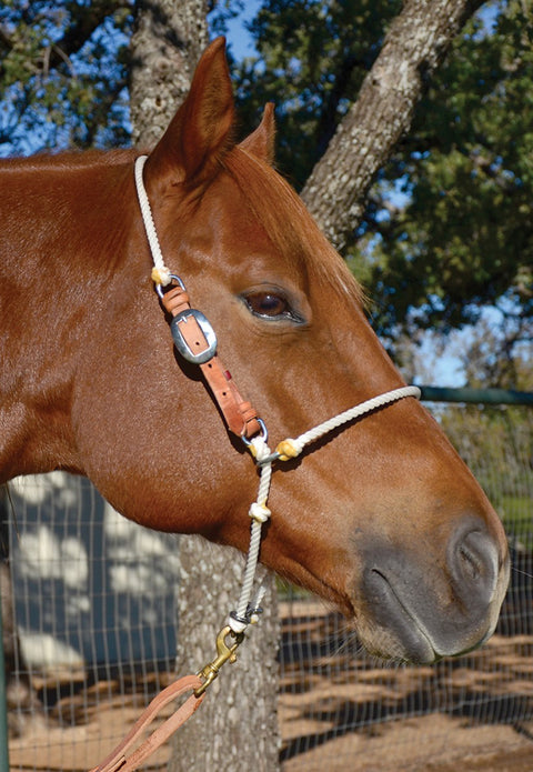 Martin Saddlery® Headsetter Tie Down - Adjustable Rope