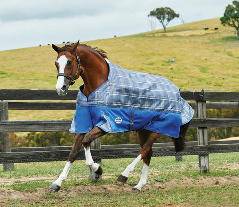 WeatherBeeta® Free Standard Neck Turnout Sheet