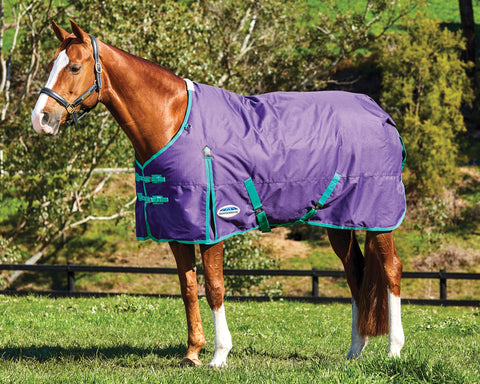 WeatherBeeta® ComFiTec™ Essential Solid Medium Weight Turnout Blanket