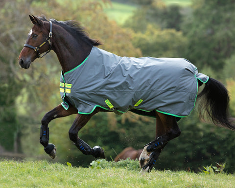 Horseware® Ireland Amigo® Hero 900D Medium-Weight Turnout Blanket