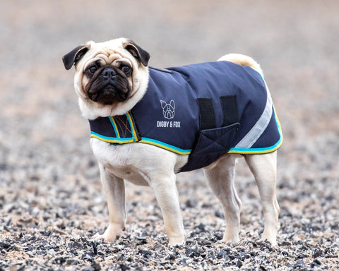Shires Digby & Fox XXXXS-S Waterproof Dog Coat