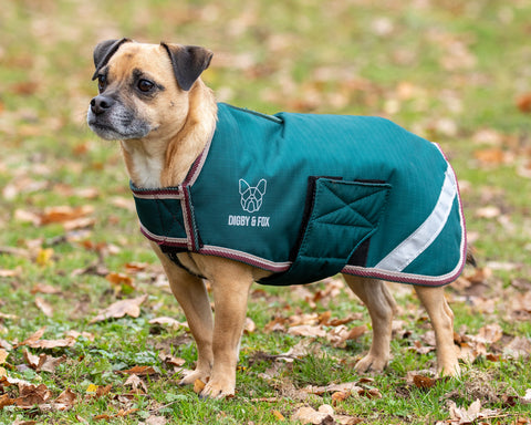 Shires Digby & Fox Medium Size Waterproof Dog Coat
