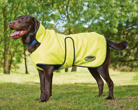WeatherBeeta® Windbreaker 420D Deluxe Dog Coat
