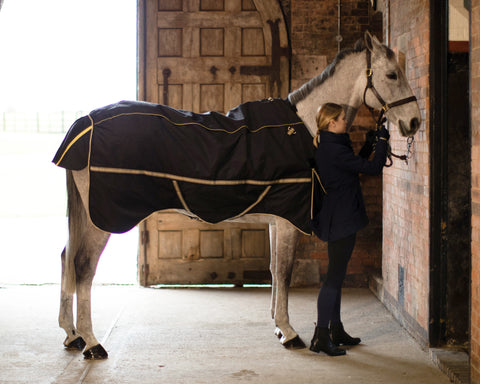 Noble Equestrian™ Guardsman™ 4-in-1 Turnout System
