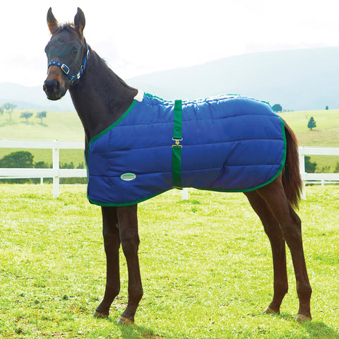 WeatherBeeta® Newborn Foal 420D Standard Neck Medium-Weight Blanket