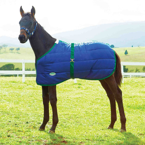 WeatherBeeta® Growing Foal 420D Standard Neck Medium-Weight Blanket