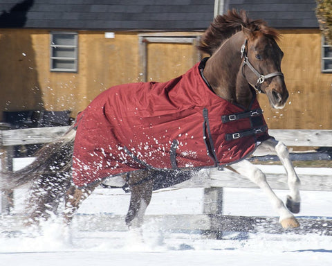 Grewal Equestrian™ 1200D 100 Gram Ripstop Turnout Blanket