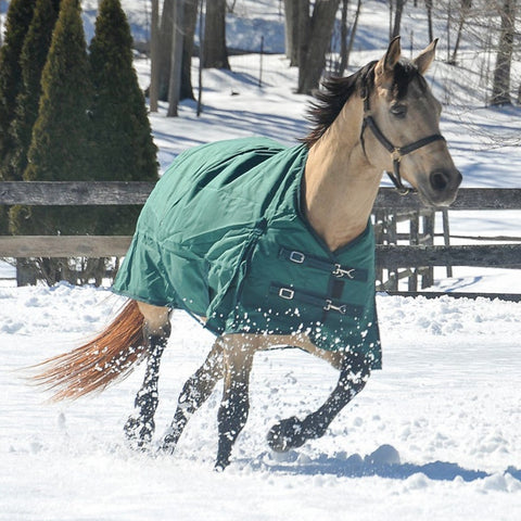 Grewal Equestrian™ 1200D 300 Gram Ripstop Turnout Blanket