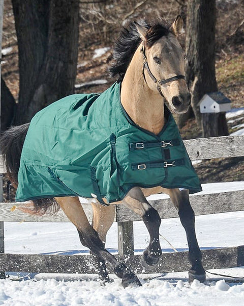 Grewal Equestrian™ 1200D 300 Gram Ripstop Turnout Blanket