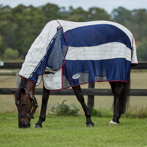 WeatherBeeta® Breeze with Surcingle IV Combo Neck Summer Sheet