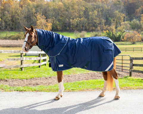 Pro-Trainer 1200D Medium-Weight Turnout Blanket with Detachable Neck Cover