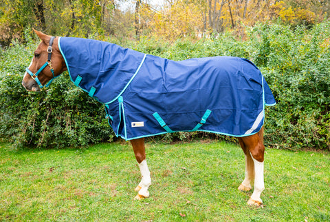 Pro-Trainer 1200D Turnout Sheet with Detachable Neck Cover