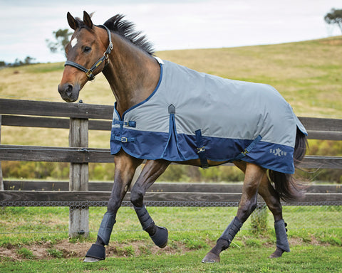 Saxon 600D Medium-Weight Blanket with Gussets & Standard Neck II