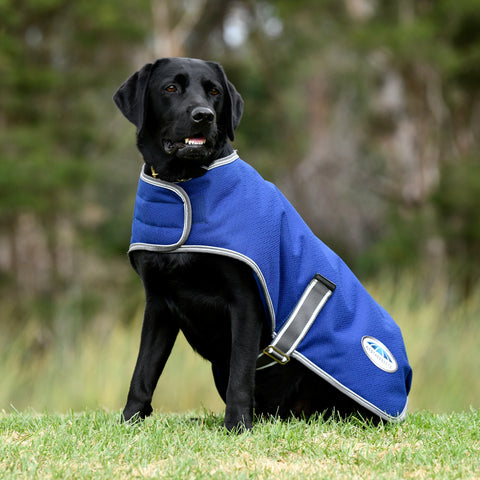 WeatherBeeta® Comfitec Premier Free Parka Dog Coat