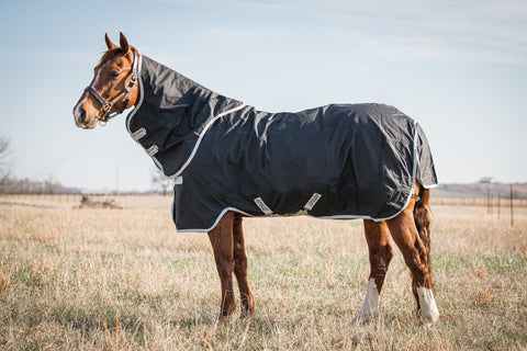 Horseware Ireland® Amigo® Stock Horse Plus Turnout Light