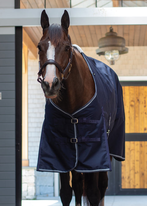 Asker 100g Sheet & Neck Set