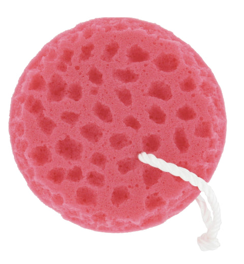 Professional’s Choice® Sponge on a Rope